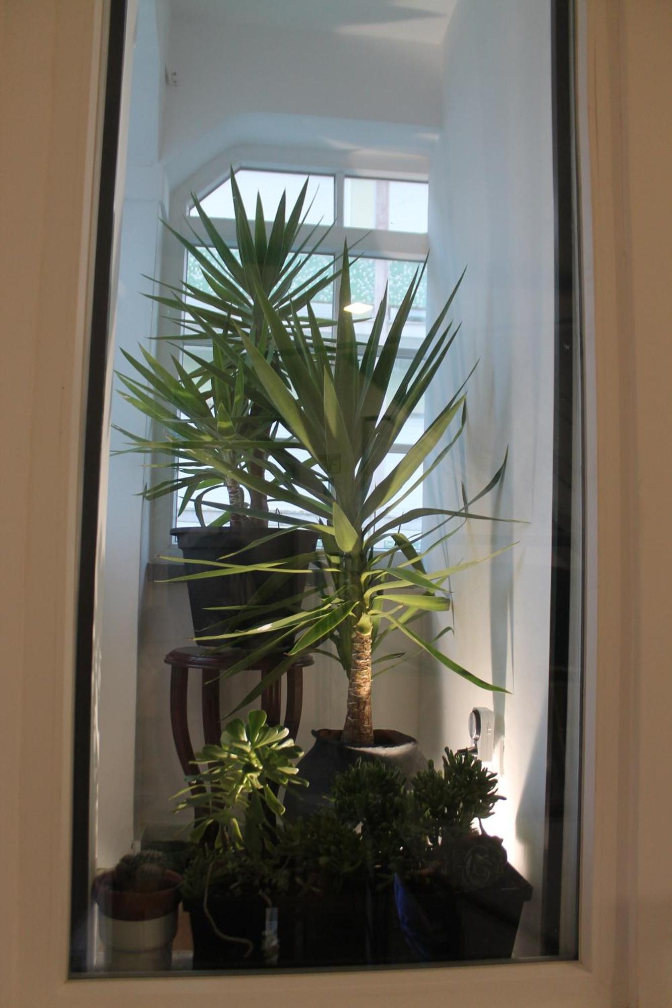 Real Guest House Costa da Caparica Exterior photo